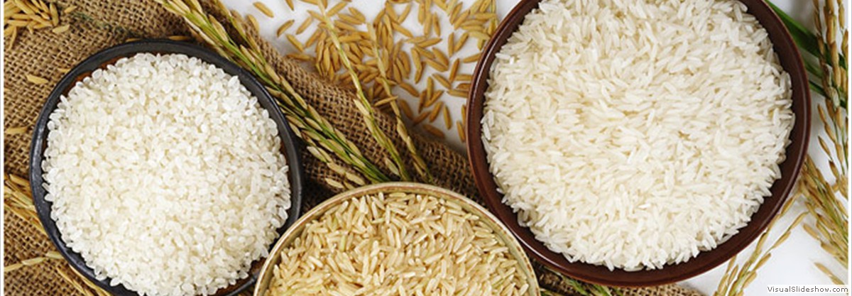 1121-steamed-basmati-rice